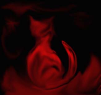 istub kassimoodi loom ja vaatab kaugusse, et
kust tuleb ilus kodukas